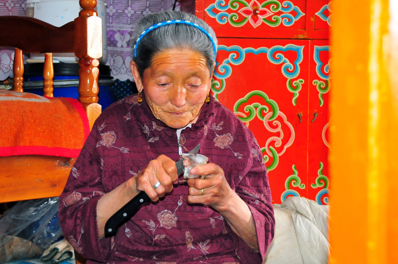 Mongolie